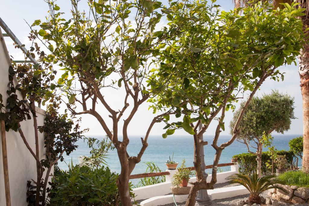 Lisca Bianca Tropea Bed & Breakfast Екстериор снимка